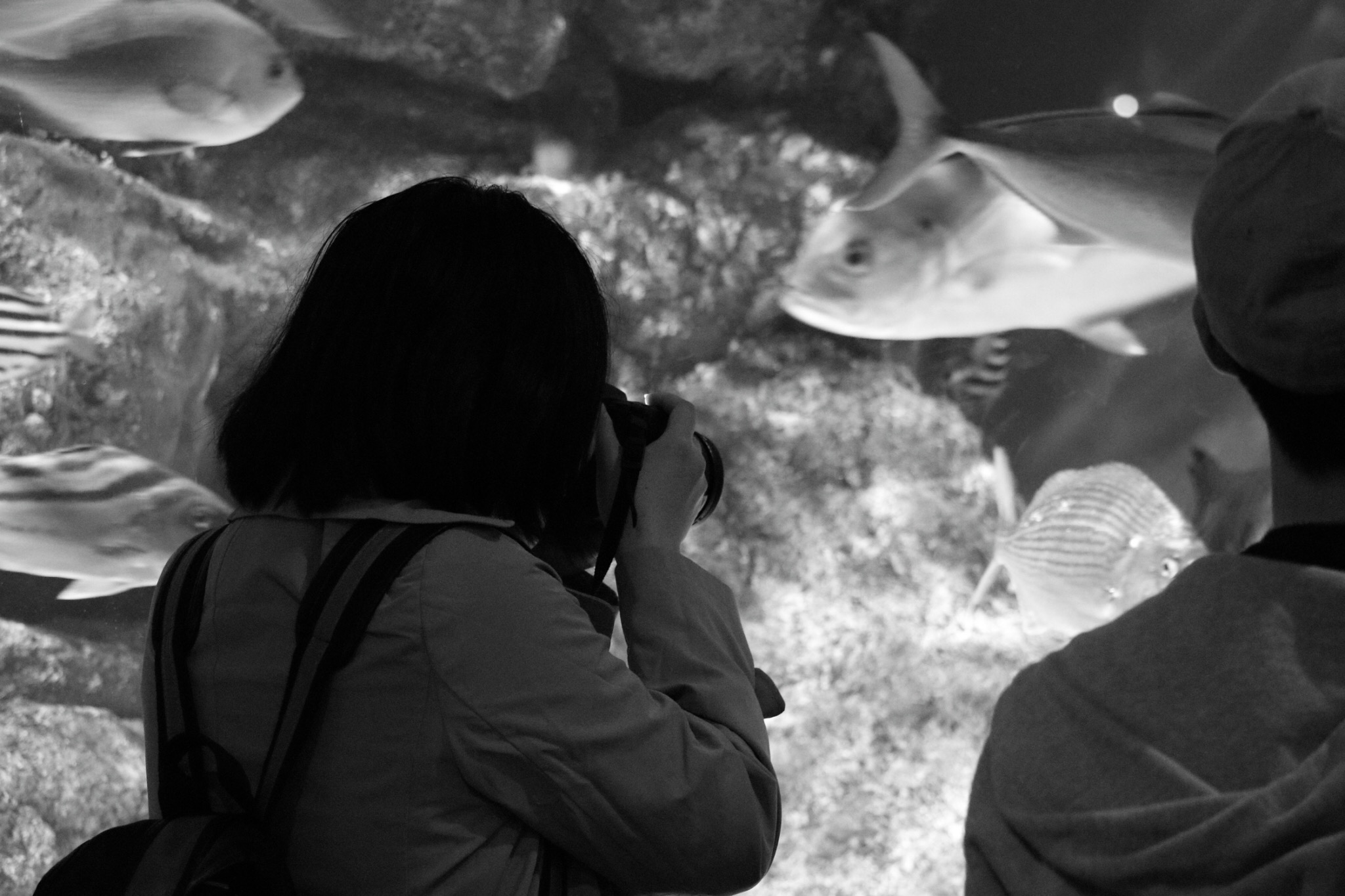 初水族館撮影