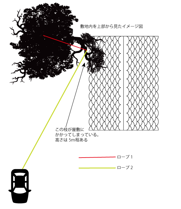 誕生記念樹