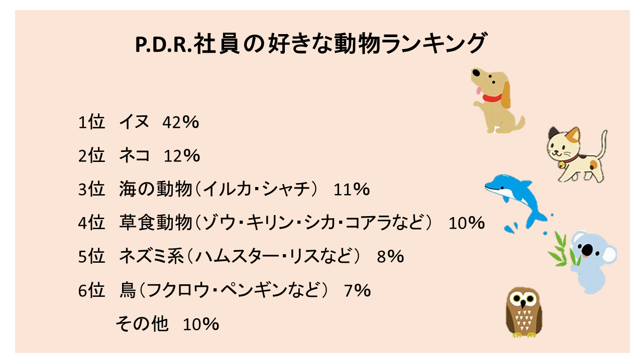 好きな動物ランキング