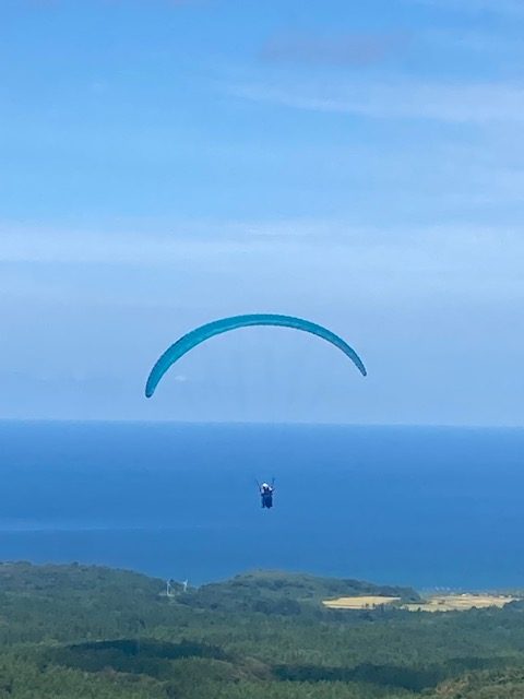 トンビを見下ろす初体験